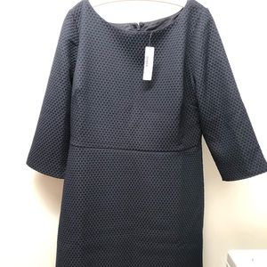 J.Crew work dress Navy size 16